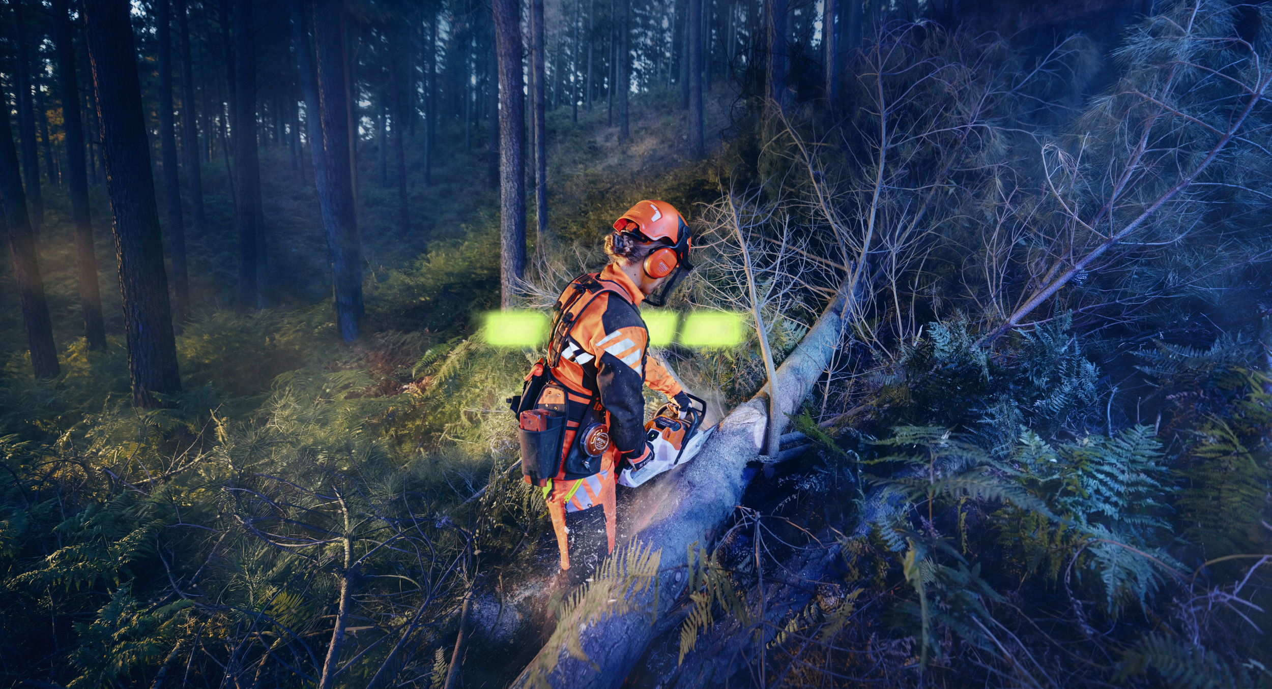 Ein Forstarbeiter sägt im Wald mit einer MSA