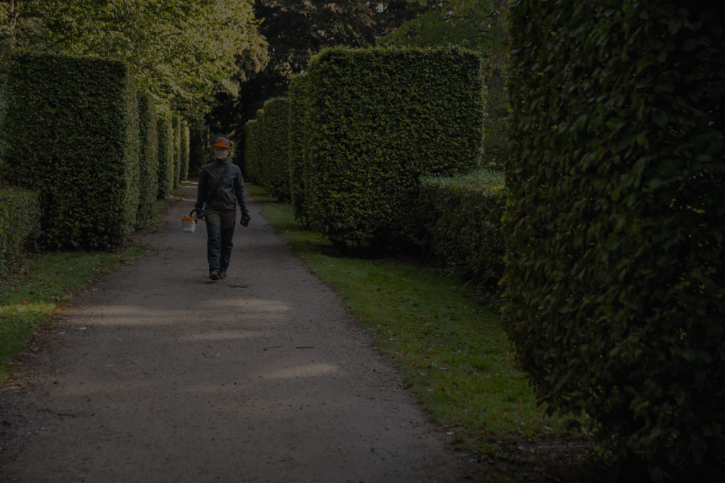 Une femme en équipement de protection STIHL traverse un chemin de parc, un outil à batterie à la main, flanquée d'arbustes taillés en forme carrée.