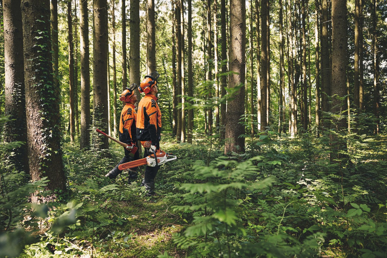 Zwei Männer in Schutzausrüstung laufen mit einem Forstbeil und einer STIHL Akku-Motorsäge durch den Wald, den Blick nach oben gerichtet