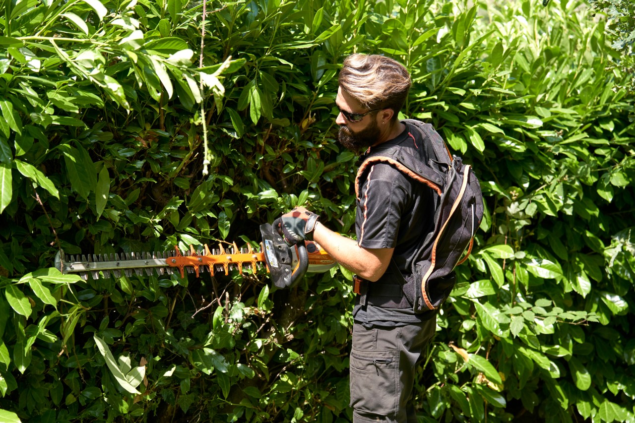 Ein Profi in Schutzausrüstung schneidet eine Hecke mit einer STIHL Akku-Heckenschere