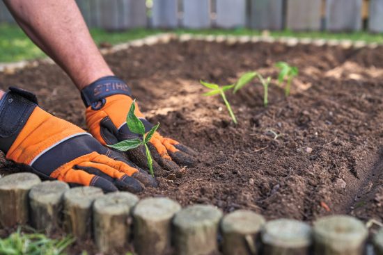 Beetpflege mit STIHL Handschuhen