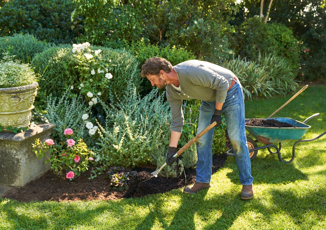 Mann mit STIHL Schutzhandschuhen hackt mit einer langstieligen Hacke zwischen Stauden im Garten