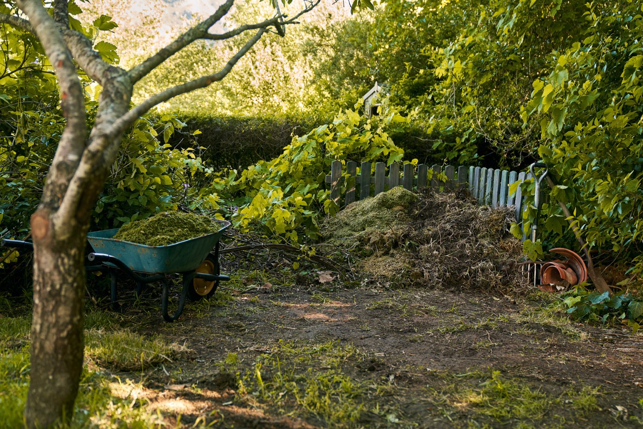 Schubkarre mit Gartenabfällen neben Komposthaufen zum Unkraut Entfernen und Entsorgen