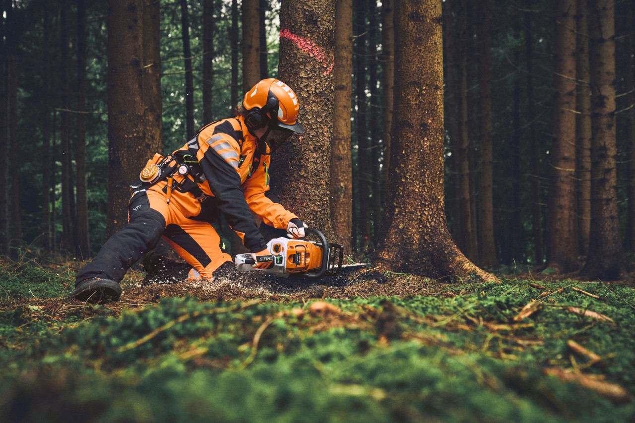 Forstarbeiter in STIHL ADVANCE FlexTEC ShellTEC fällt einen Baum mit einer STIHL Motorsäge