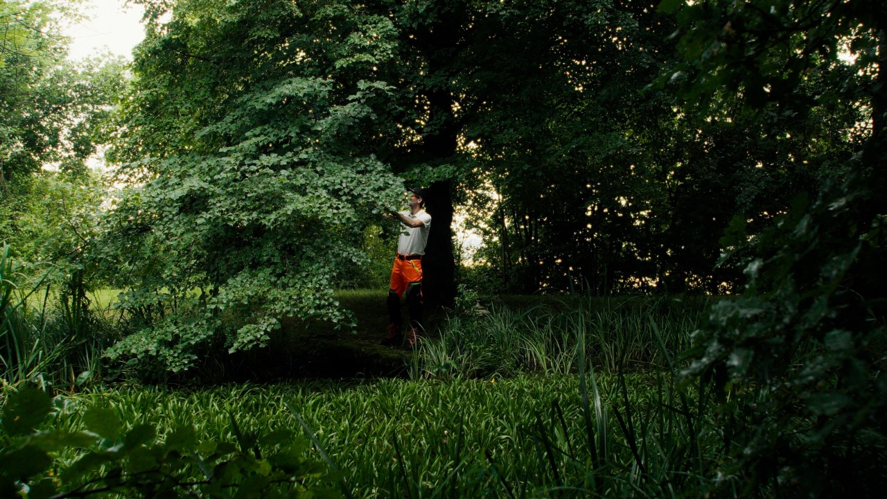 Patrick arbeitet an einem Baum mit vielen grünen Blättern, Real People. STIHL People. Kampagne