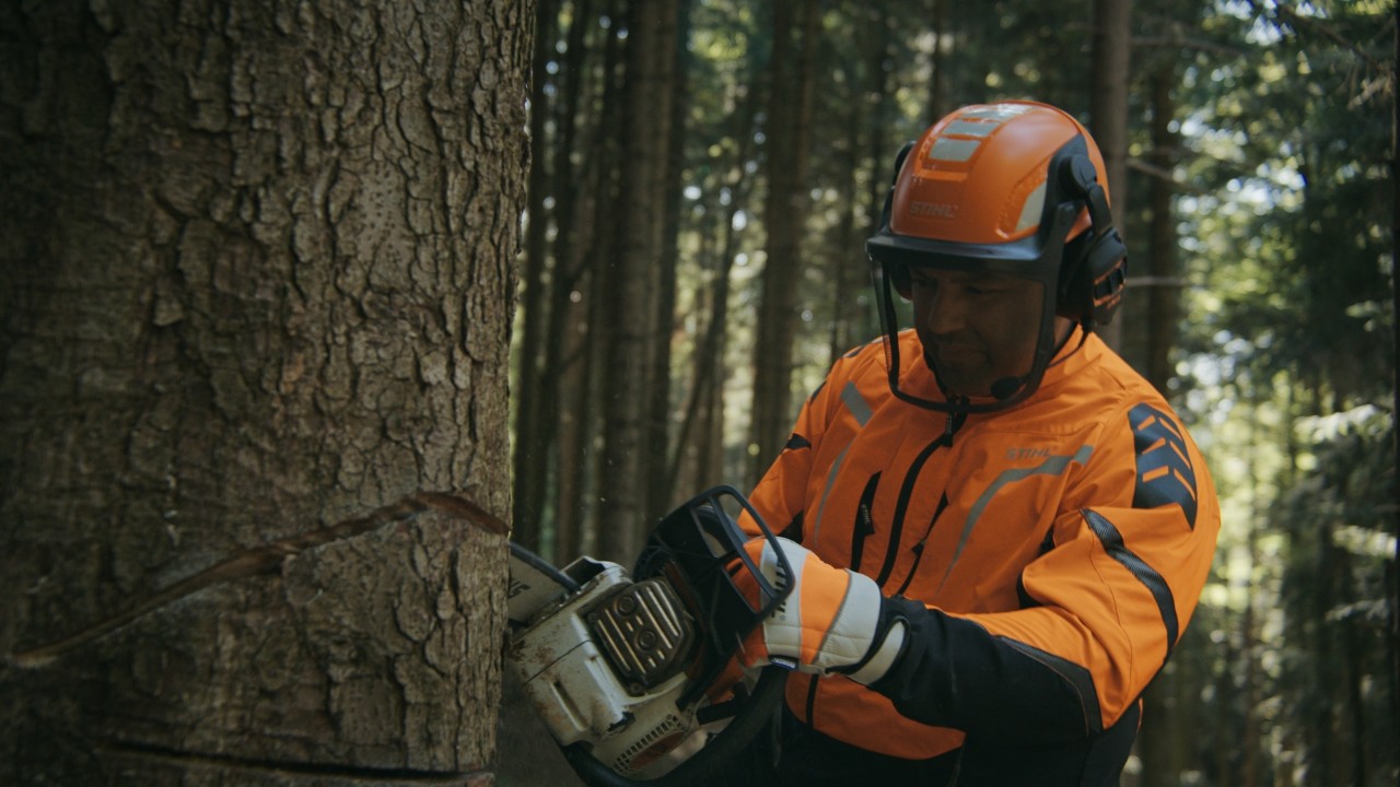 Daniel sägt mit einer STIHL Motorsäge an einem Baumstamm im Wald, Real People. STIHL People. 