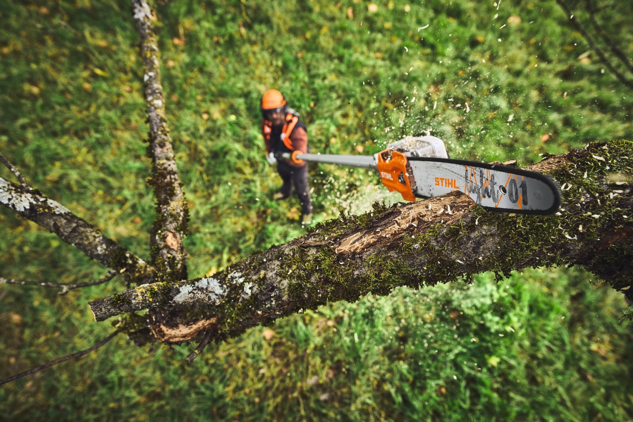Perche élagueuse à batterie STIHL HTA 110