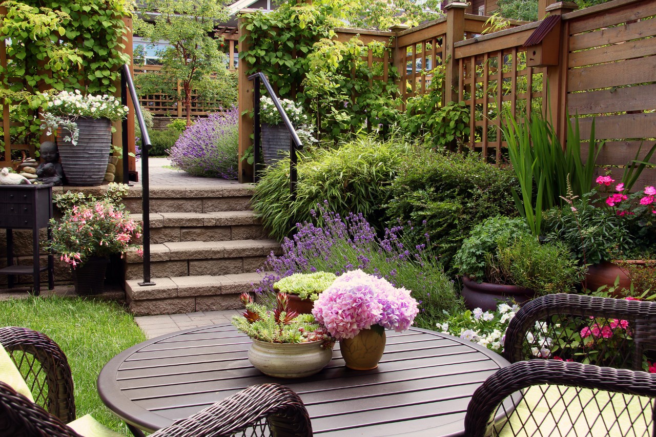 Petit jardin avec meubles de jardin tressés au premier plan, escalier en pierre vers au niveau supérieur, arbustes, bacs, treillis et clôtures à l’arrière.