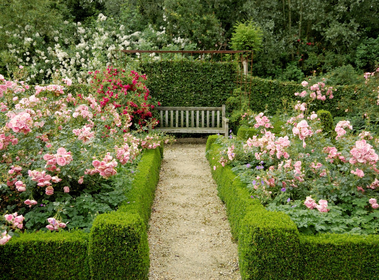 Petit jardin romantique avec des parterres de roses et des buis taillés, entouré d’une haie de charmes, et disposant d'un banc en bois. 