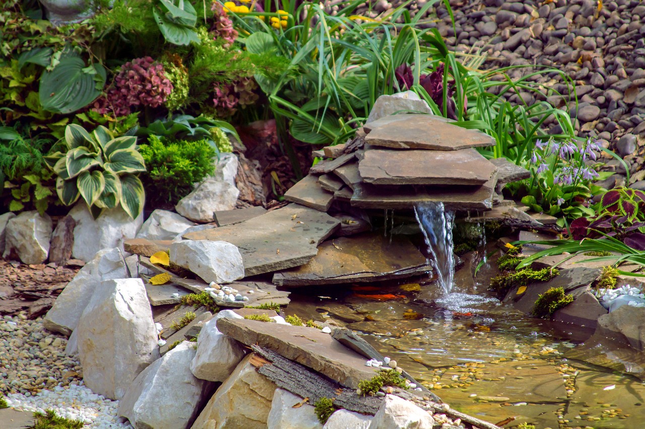 Point d’eau composé de dalles de pierres dans un petit jardin respectueux de la faune, entouré de couvre-sols et d’herbes, pente en arrière-plan.