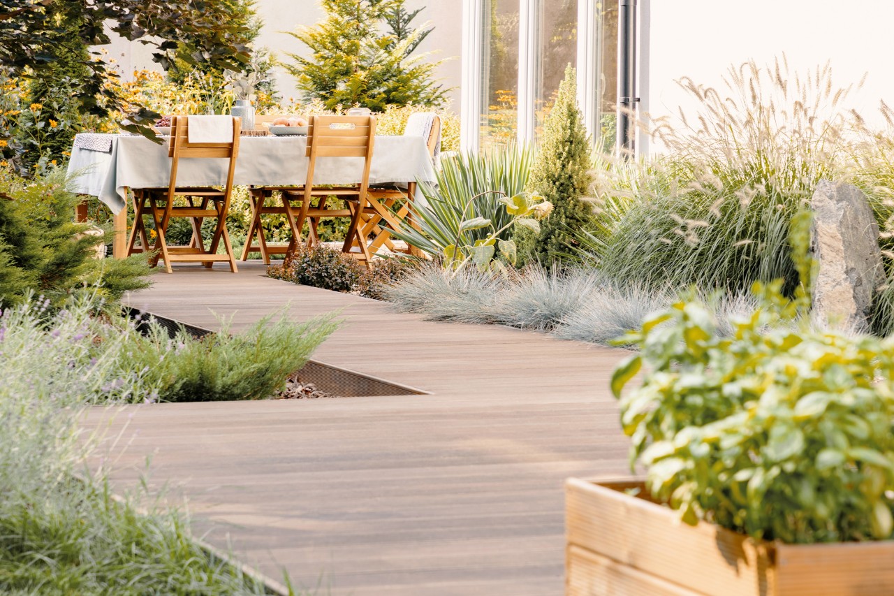 Petit jardin moderne avec terrasse en bois, graminées, roseaux, meubles de jardin en arrière-plan, à droite baie vitrée de la maison.
