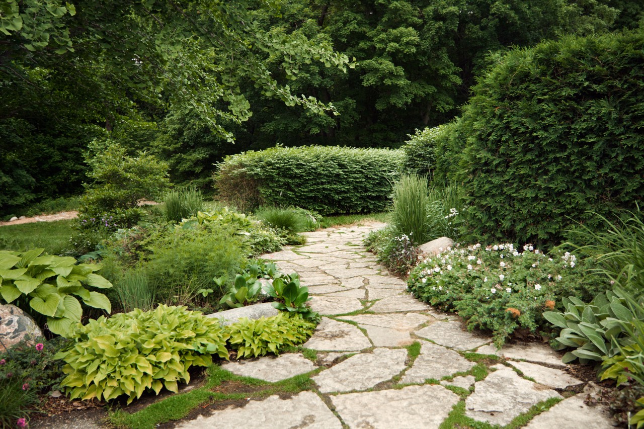Chemin de pierre incurvé, entouré de couvre-sols, d’arbustes et de haies, en arrière-plan pelouse et arbres.