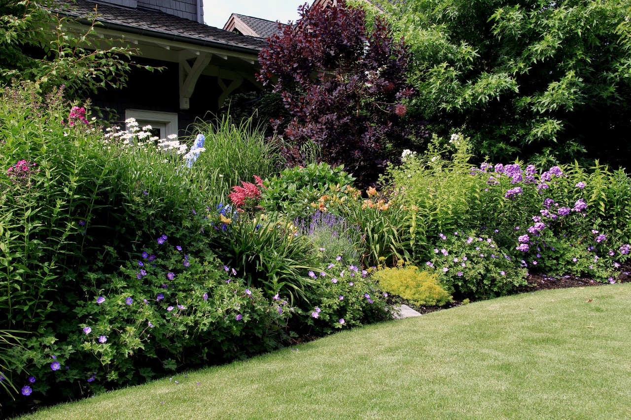 Aménagement d'un petit jardin avec une pelouse au premier plan, de nombreuses plantes vivaces et une vue sur le jardin voisin.