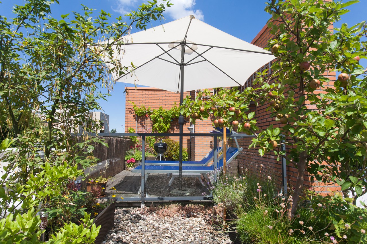 Terrasse-toiture très verdoyante, avec pommier, parasol et fauteuils bain de soleil devant un mur en briques