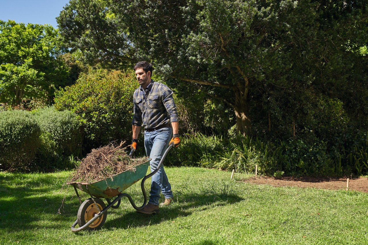 Un homme dans un jardin transporte des déchets de jardin dans une brouette  