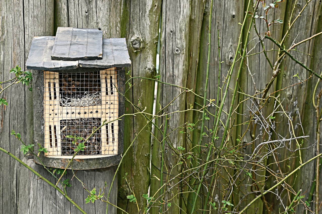 Un hôtel à insectes fait maison devant une clôture en bois