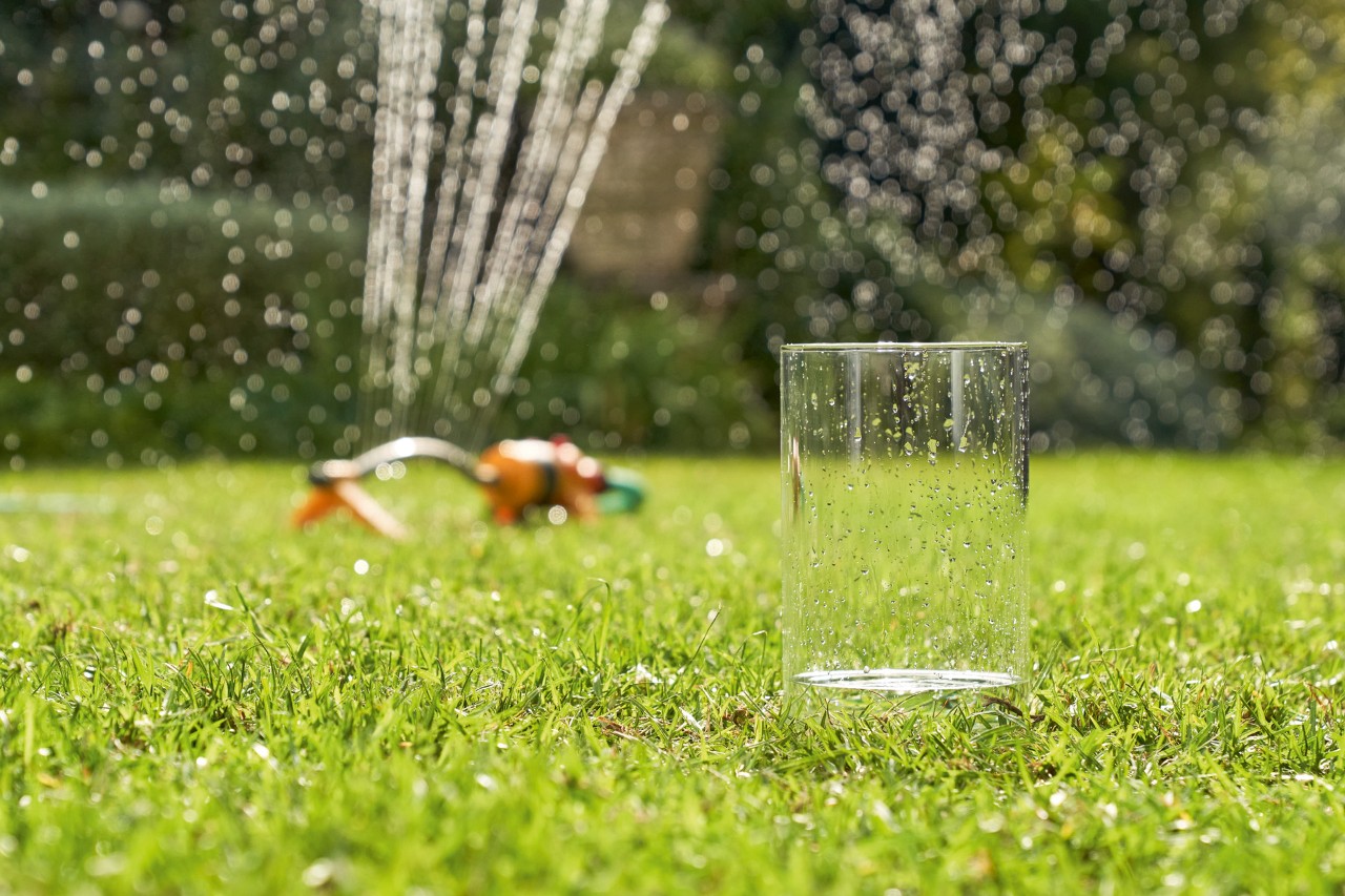 Un verre recueille l’eau provenant d’un arroseur en arrière-plan