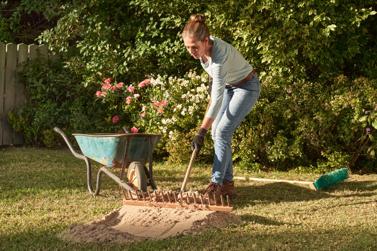 Une femme est en train de sabler sa pelouse, une brouette en arrière-plan pleine de sable pour pelouse