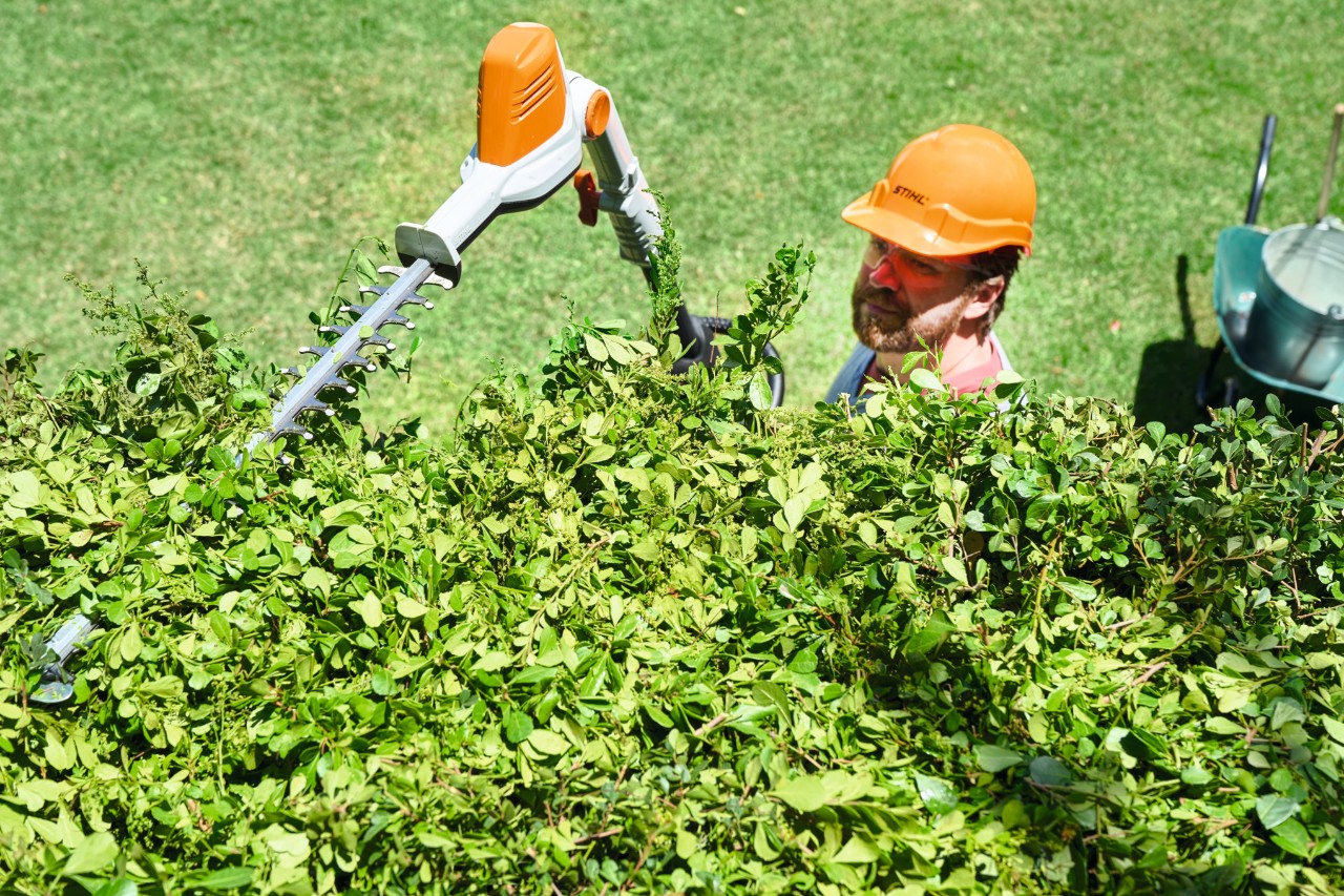 Vue aérienne d’un homme en équipement de protection taillant la couronne d’une haie avec le taille-haie à batterie STIHL HLA 56 