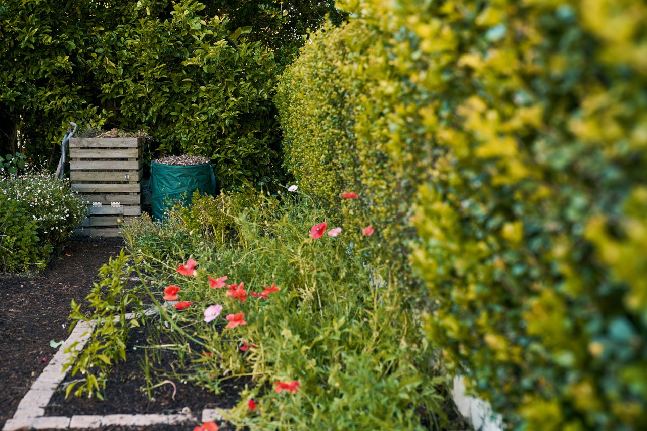 Un coin de jardin avec un parterre de fleurs, une haie, un composteur en bois et un bac à feuilles