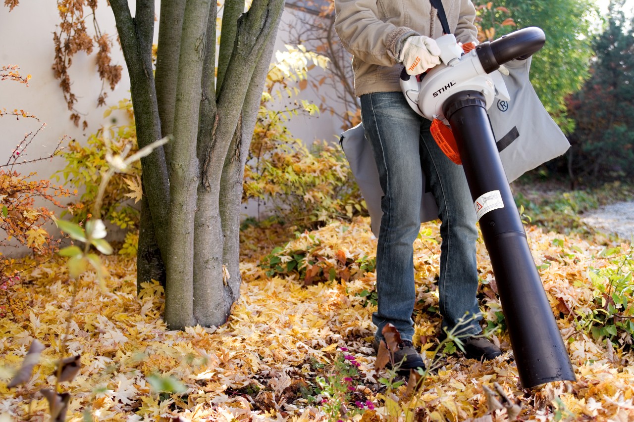 Un aspiro-souffleur à main STIHL SH 56 est utilisé pour ramasser les feuilles mortes à côté d’un arbre