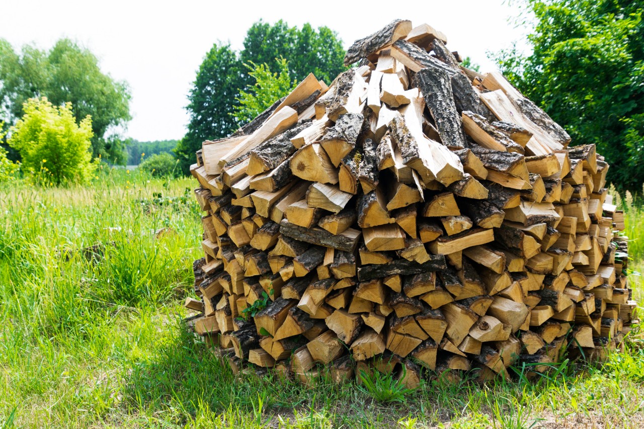 Bois de chauffage, empilé en rond