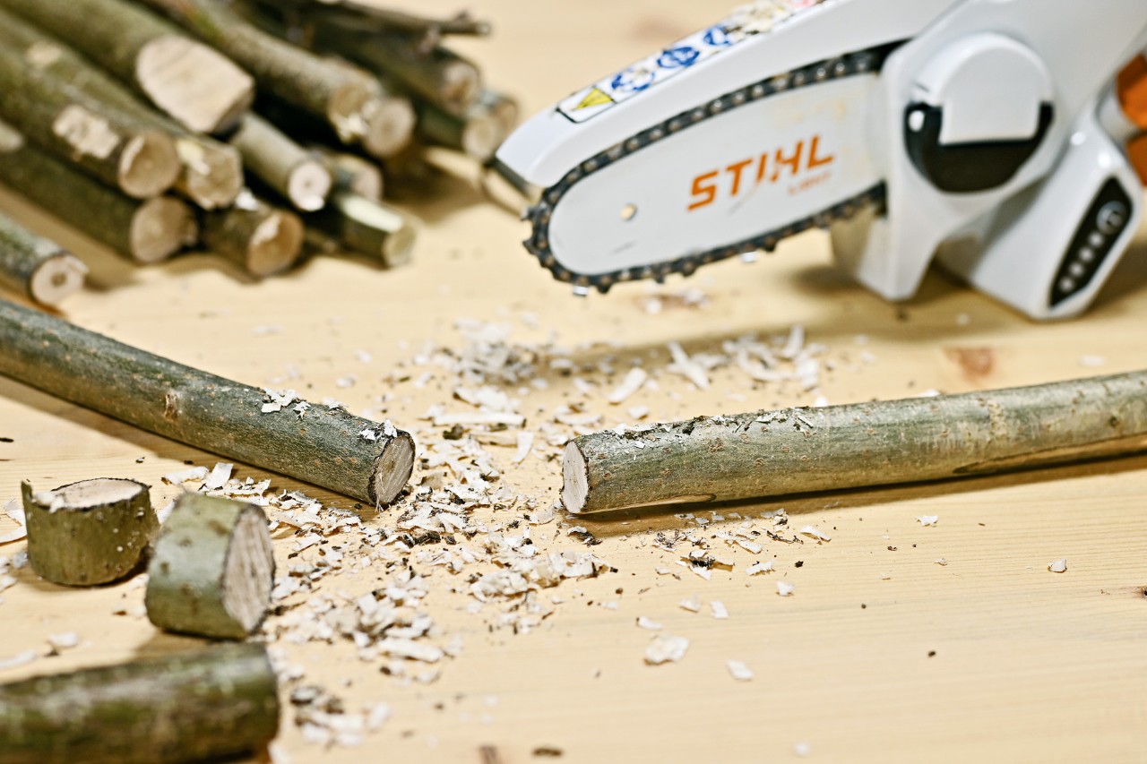Branche pour la décoration intérieure après avoir été sciée à l'aide d'un élagueur sans fil STIHL GTA 26