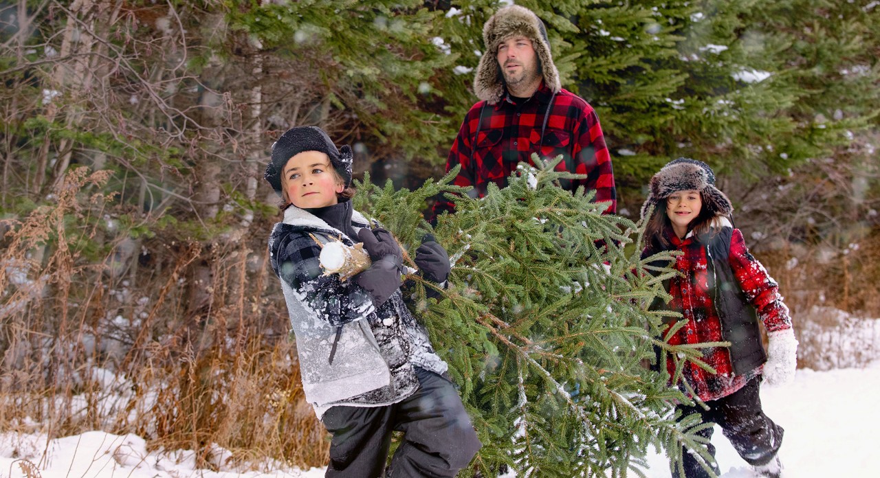 Le père porte un sapin de Noël dans la neige avec ses deux enfants