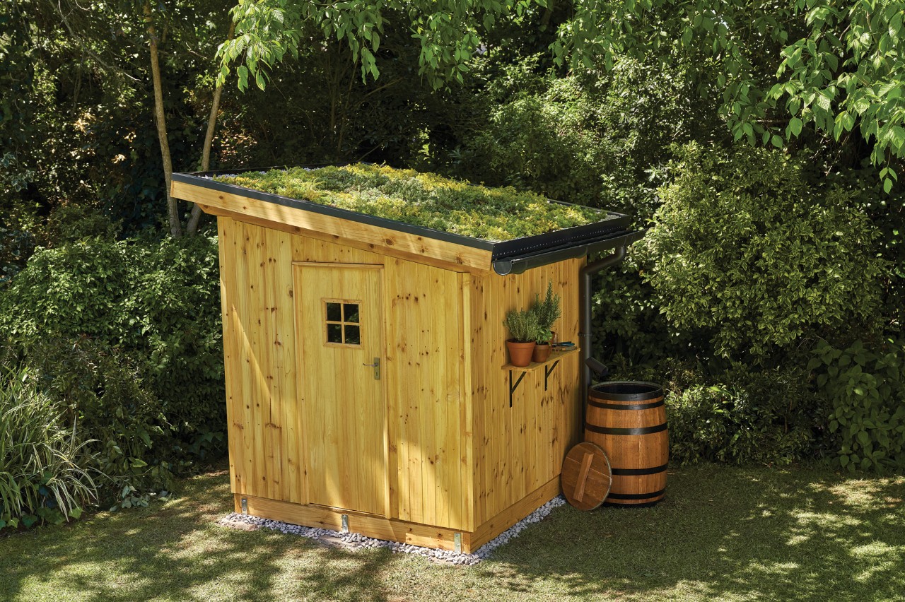 Construction terminée d’un abri de jardin avec parements en bois et un toit végétalisé