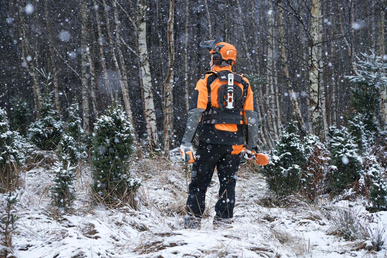 Travailleur forestier vu de dos dans une forêt enneigée, muni d’un équipement de protection STIHL avec système de ceinture modulaire et appareils à batterie pour l’entretien des jeunes arbres