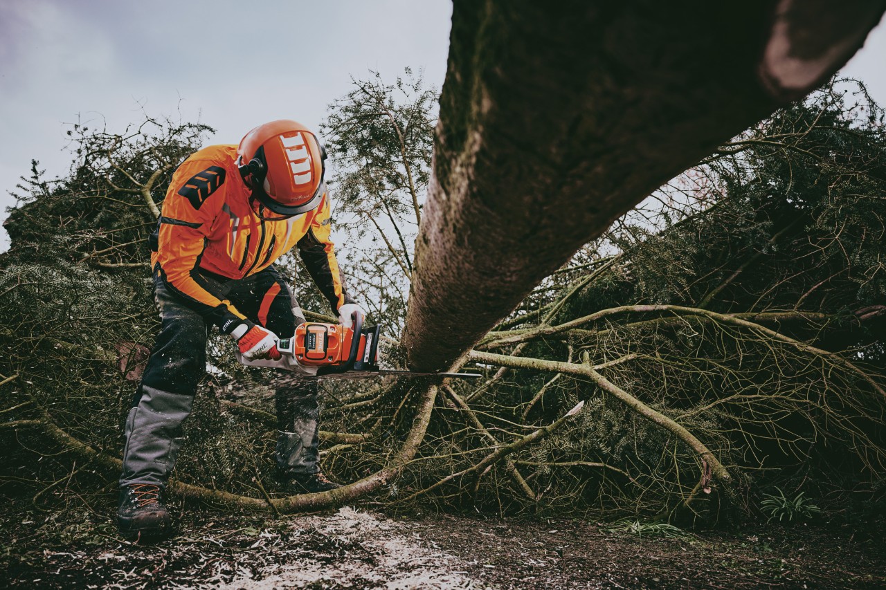 Ouvrier forestier portant un EPI pour travaux forestiers et une protection anti-coupure de classe 1, ébranchant un tronc d’arbre avec la tronçonneuse à batterie STIHL MSA 300