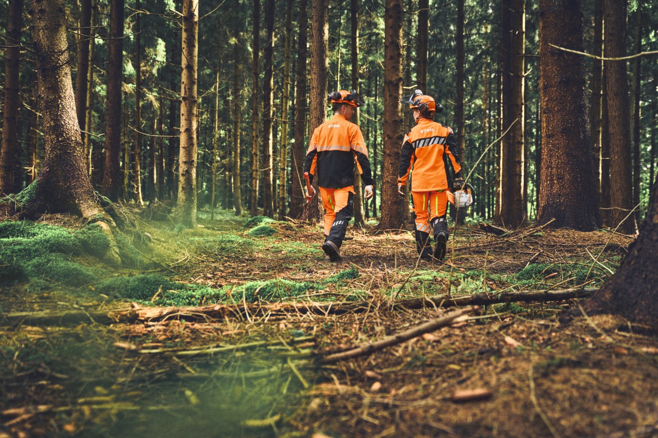Vue de dos d’ouvriers forestiers portant des vêtements de protection STIHL confortables