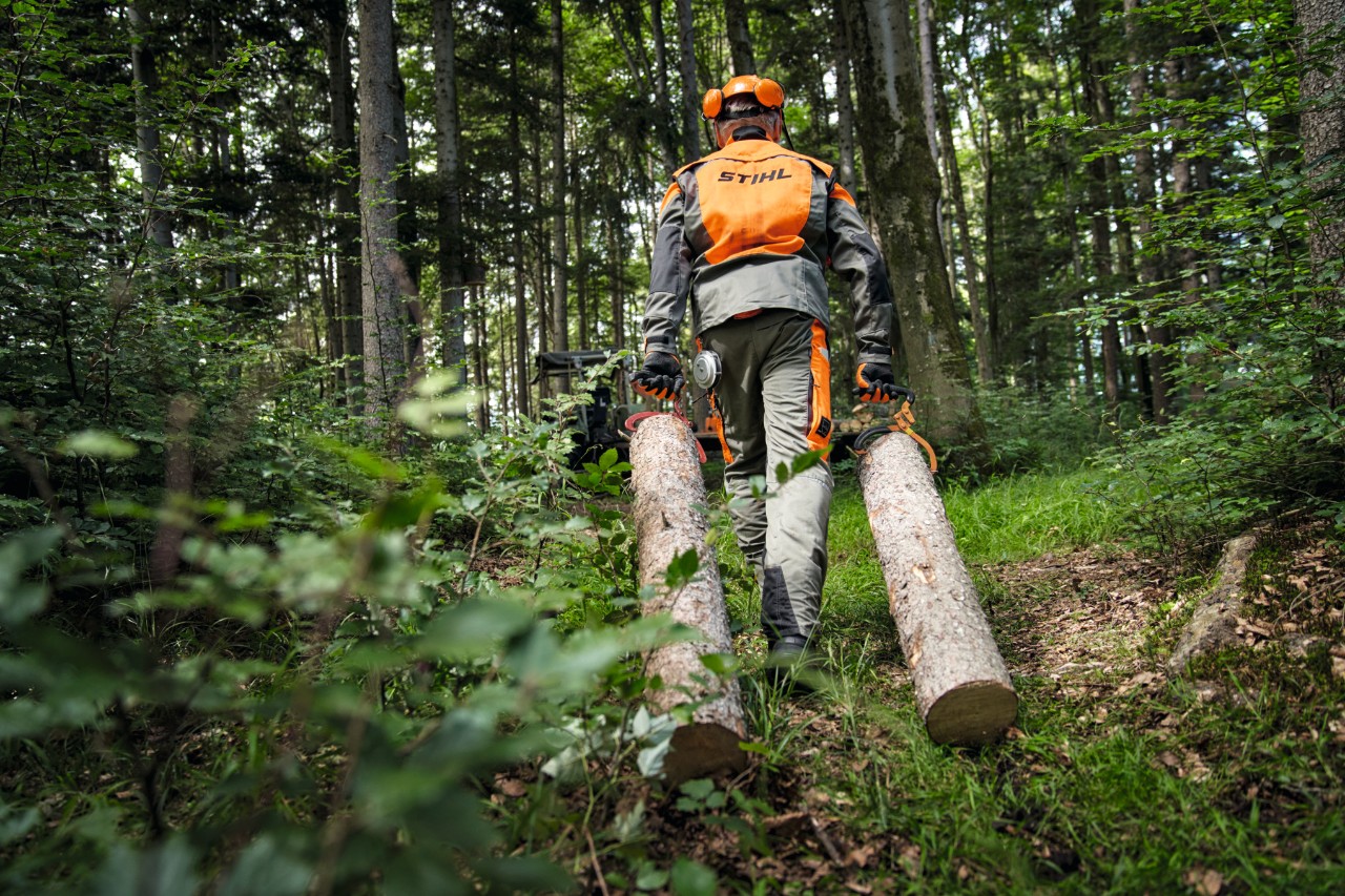 Travailleur forestier avec équipement de protection STIHL transportant du bois sur un chemin forestier