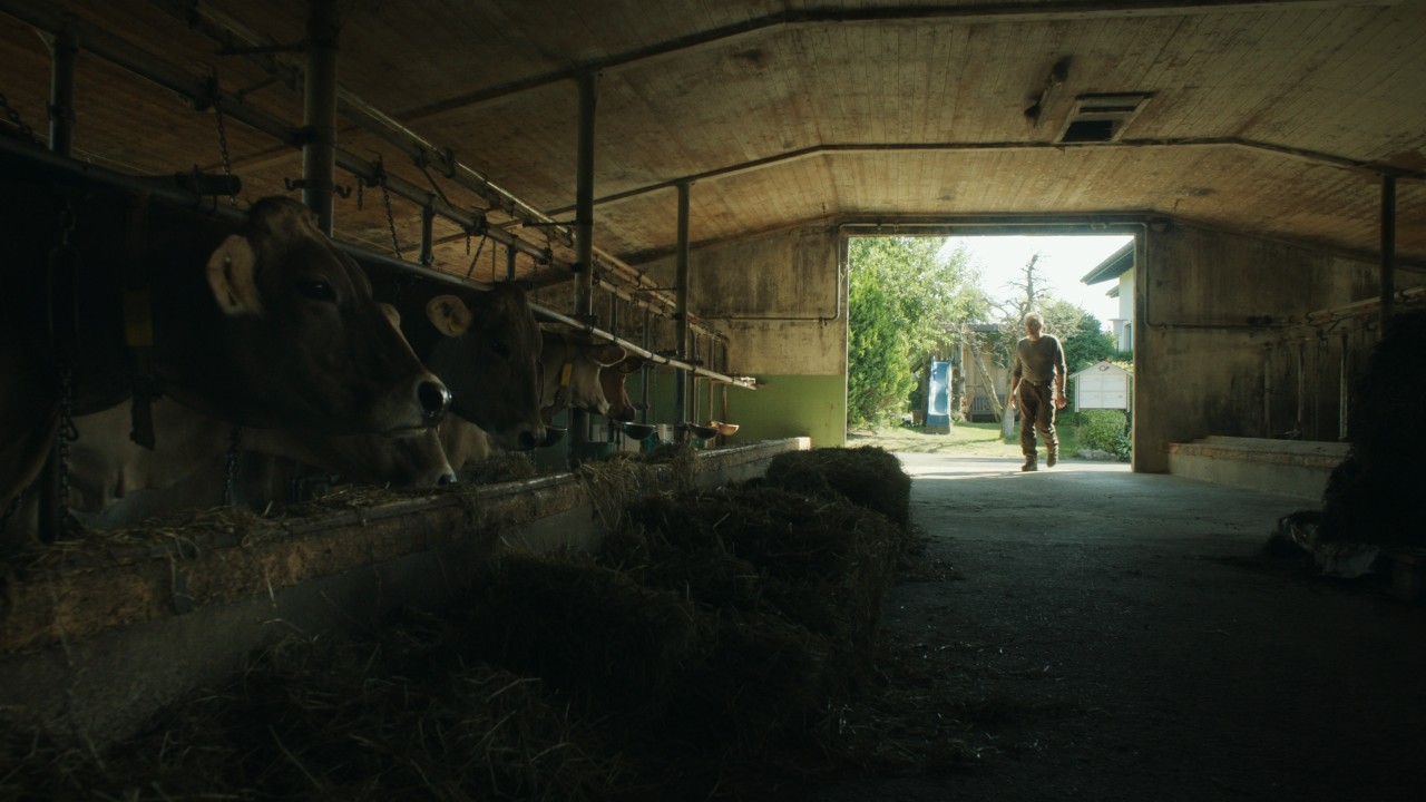 Rolf entre dans une étable où se trouvent des vaches, campagne Real People. STIHL People.
