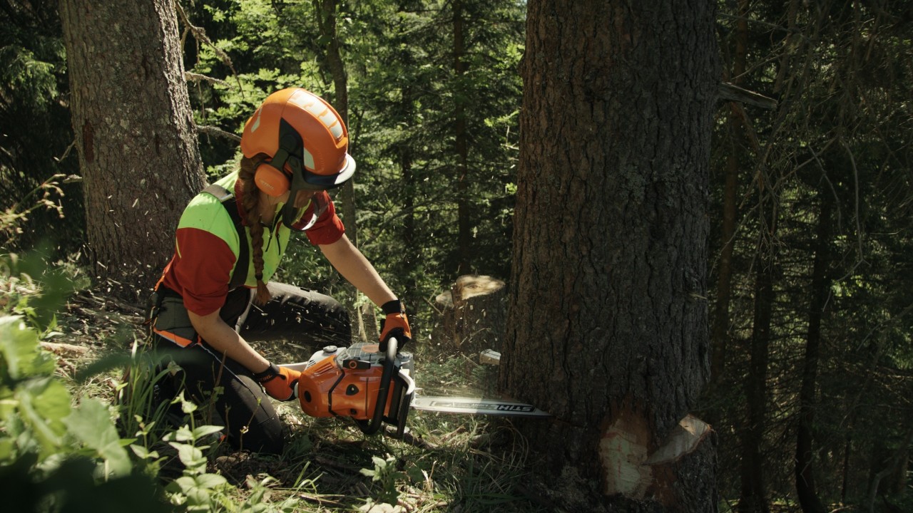 Bigna taglia un tronco nel bosco con una motosega STIHL, Real People. STIHL People.