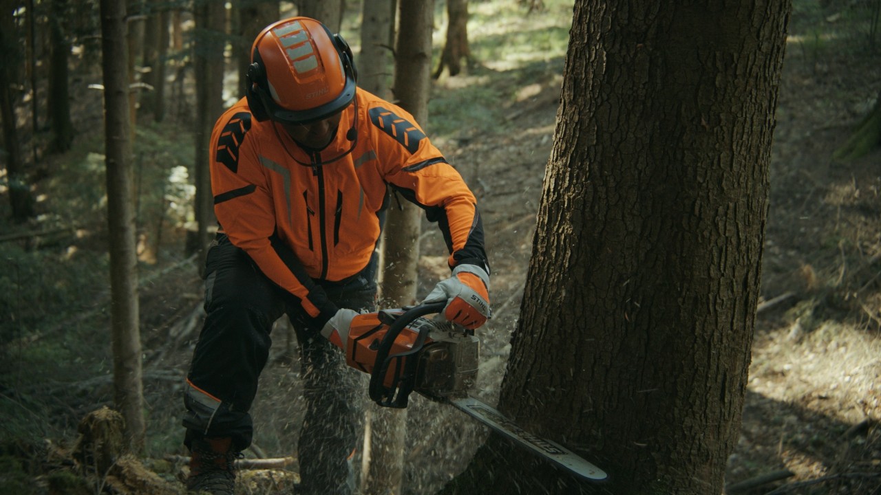 Daniel lavora un tronco nel bosco con una motosega STIHL, Real People. STIHL People.