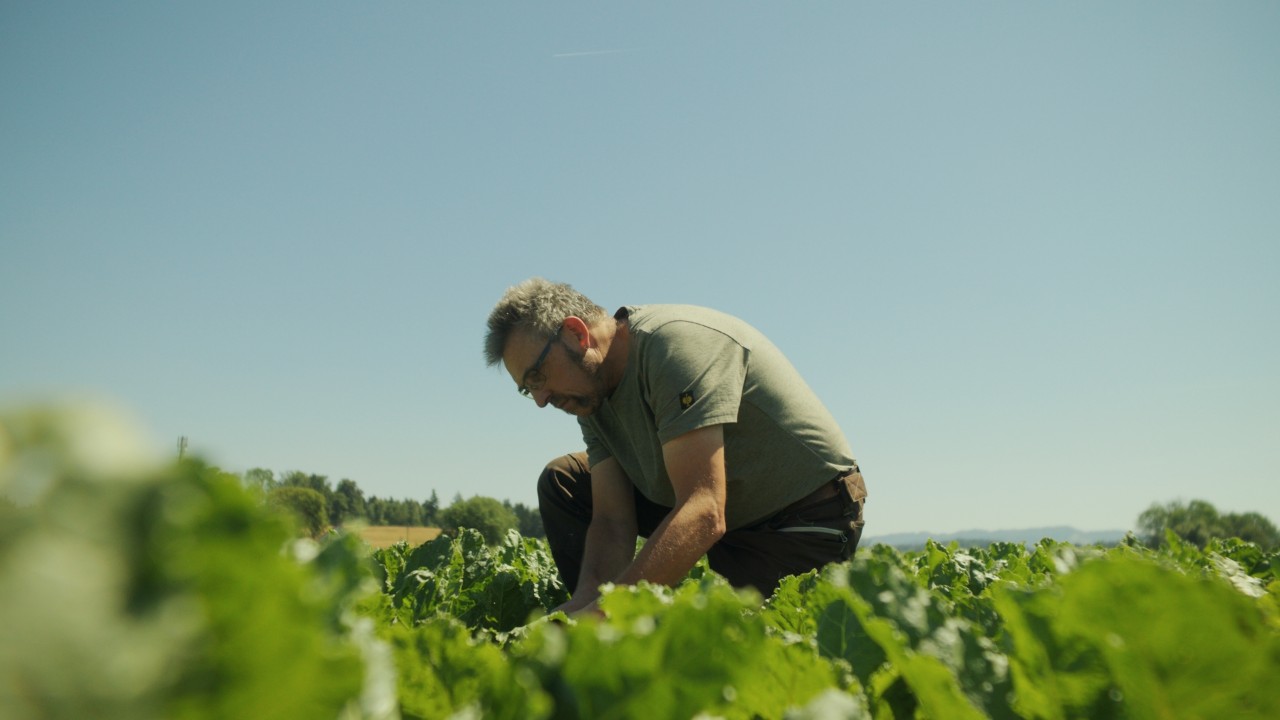 Rolf lavora in un campo all’aperto, campagna Real People. STIHL People.