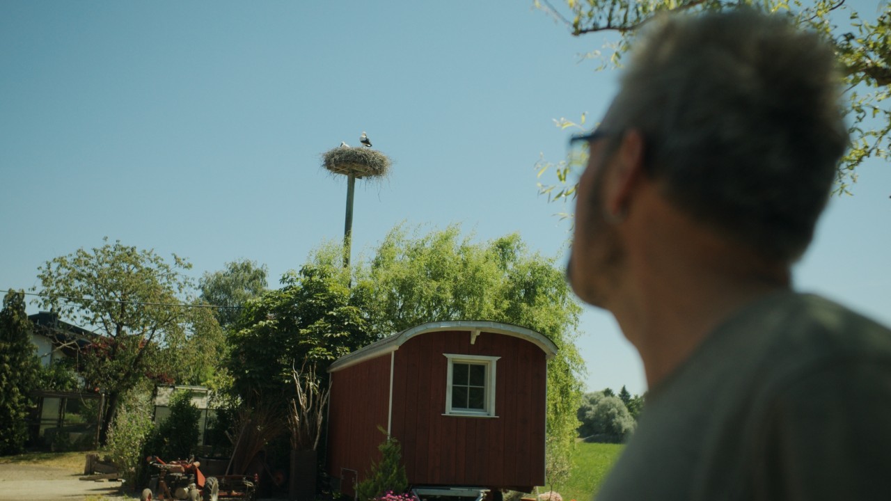 Rolf guarda un nido di cicogne su un palo, ambiente rurale con natura sullo sfondo, campagna Real People. STIHL People.