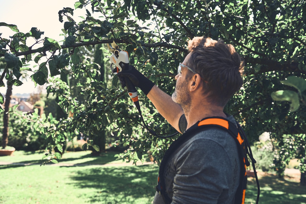 Cesoie a batteria per potatura STIHL ASA 130 e ASA 140 