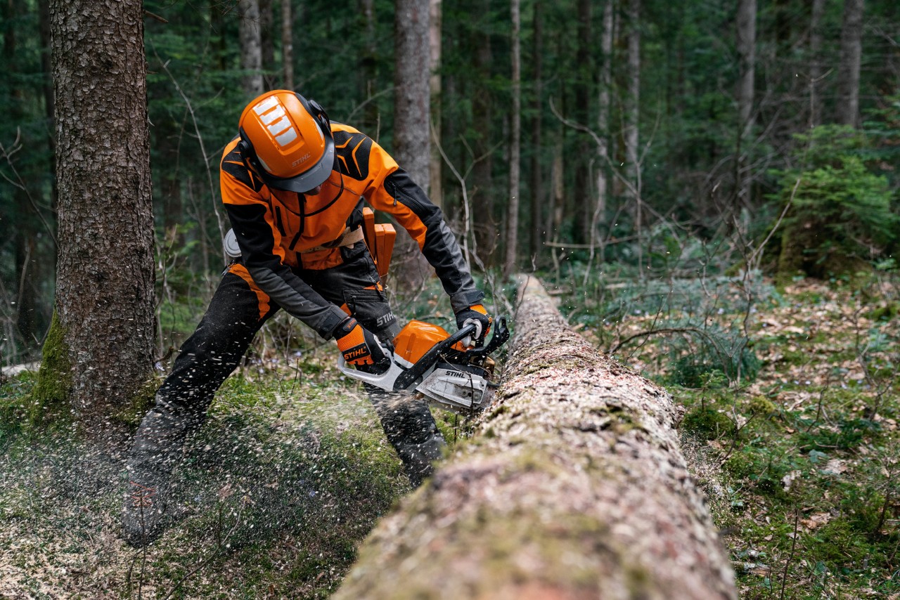 Uomo munito di dispositivi di protezione individuale che sega il tronco di un albero caduto utilizzando una motosega a benzina STIHL MS 400 C-M con pistone in magnesio