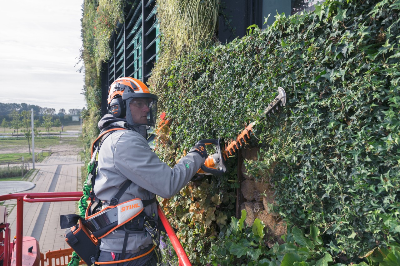 Un uomo su un ponte sollevatore taglia la vegetazione della facciata