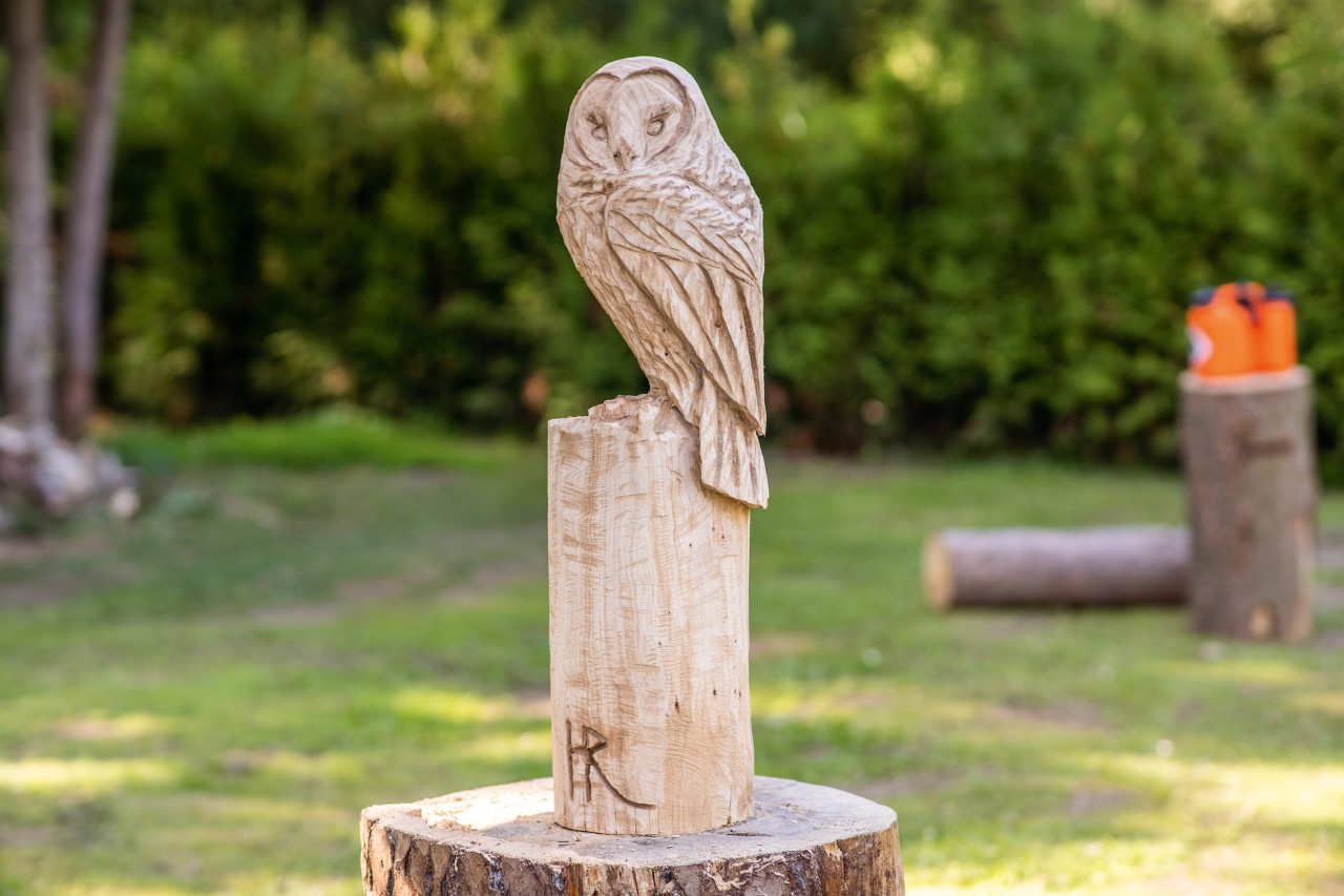 Intaglia il tuo gufo artistico dal legno