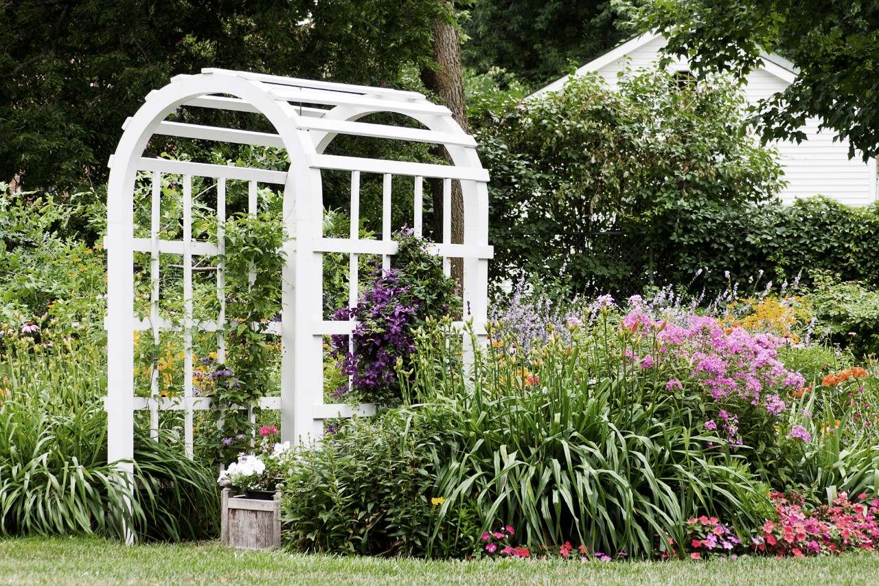 Supporto bianco per rampicanti tra piante fiorite rosa e viola in giardino