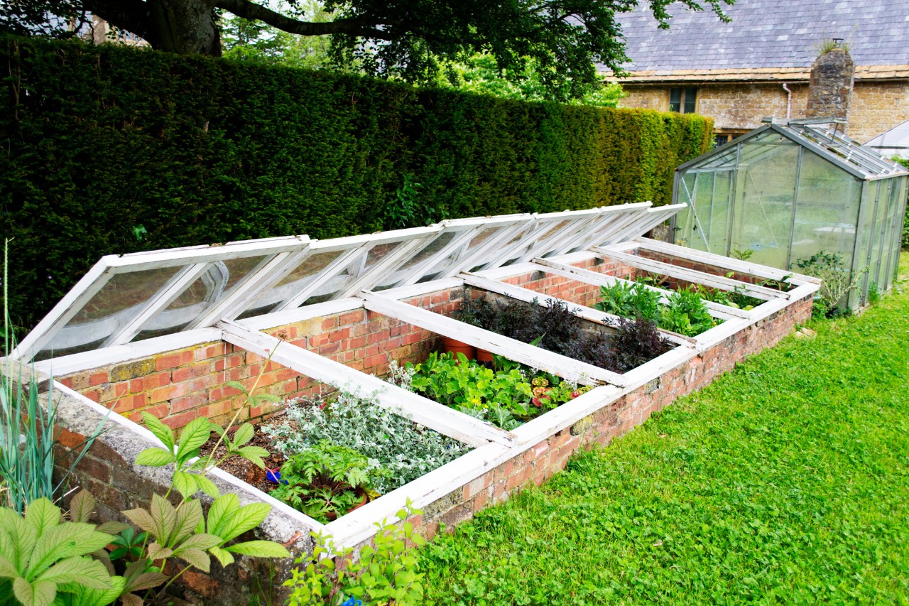 Aiuola primaverile fai da te in un giardino