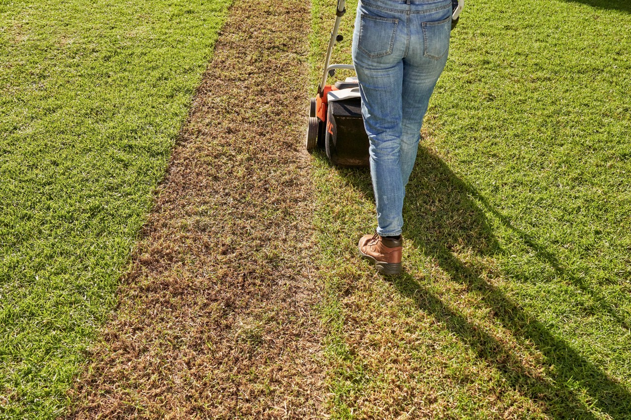Donna che arieggia il prato con l'arieggiatore a batteria STIHL RLA 240