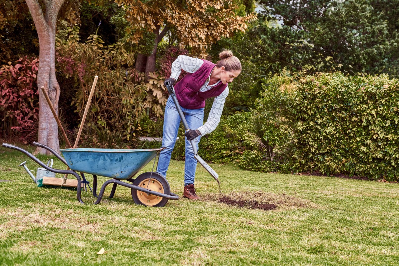  Durante la cura del prato in autunno, una donna mette a terra una carriola per riparare i danni del prato