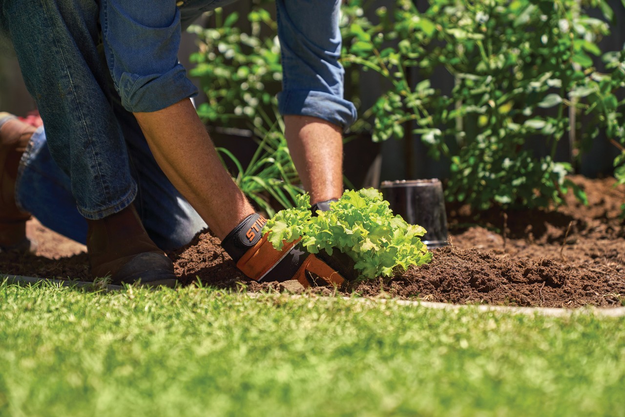 Persona munita di guanti protettivi che pianta un'aiuola in un giardino