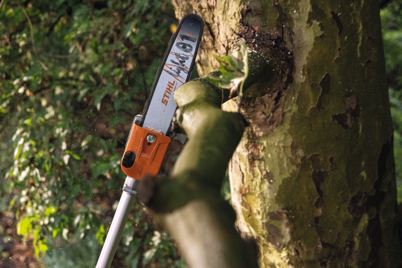 Primo piano dello sramatore a batteria STIHL HTA 135 durante la potatura di un ramo