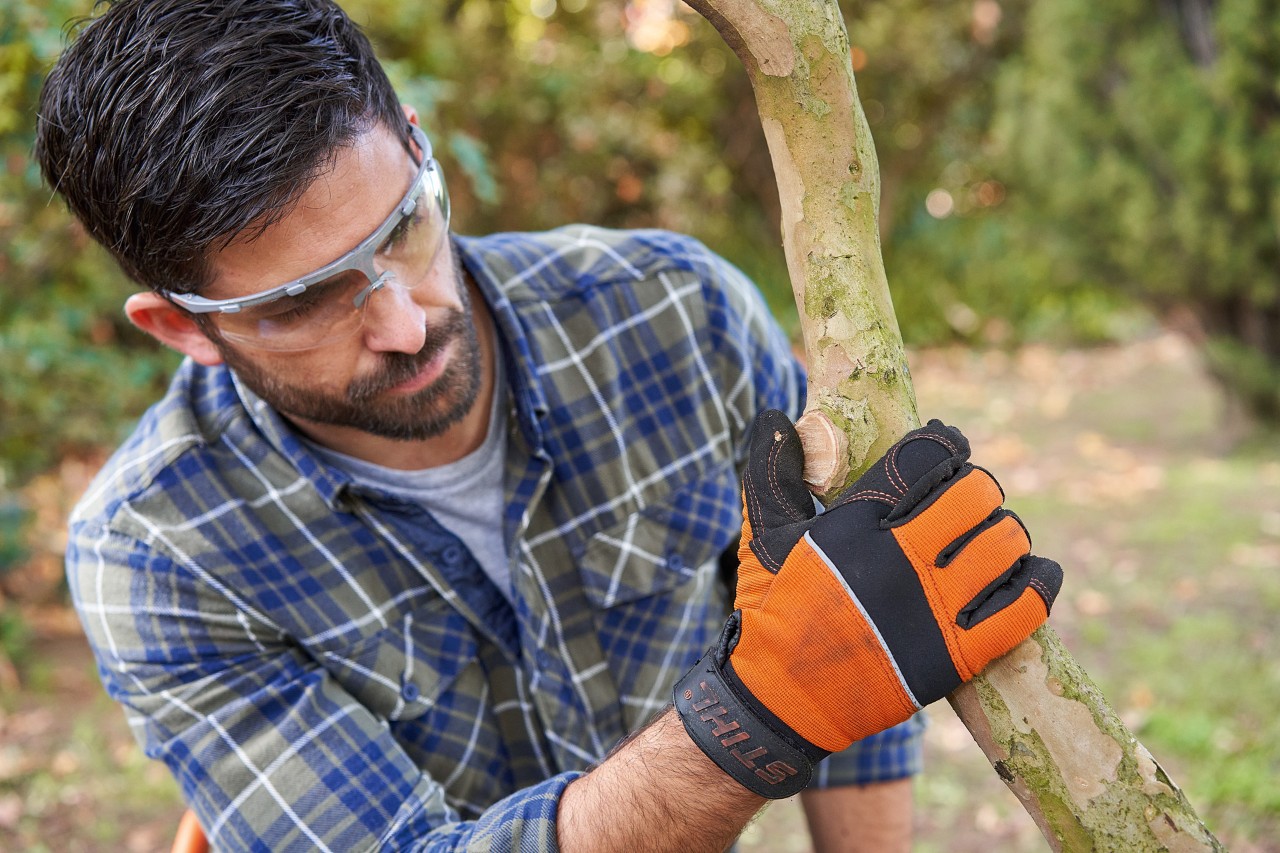 Un uomo con guanti e occhiali di sicurezza STIHL esamina un ramo in giardino