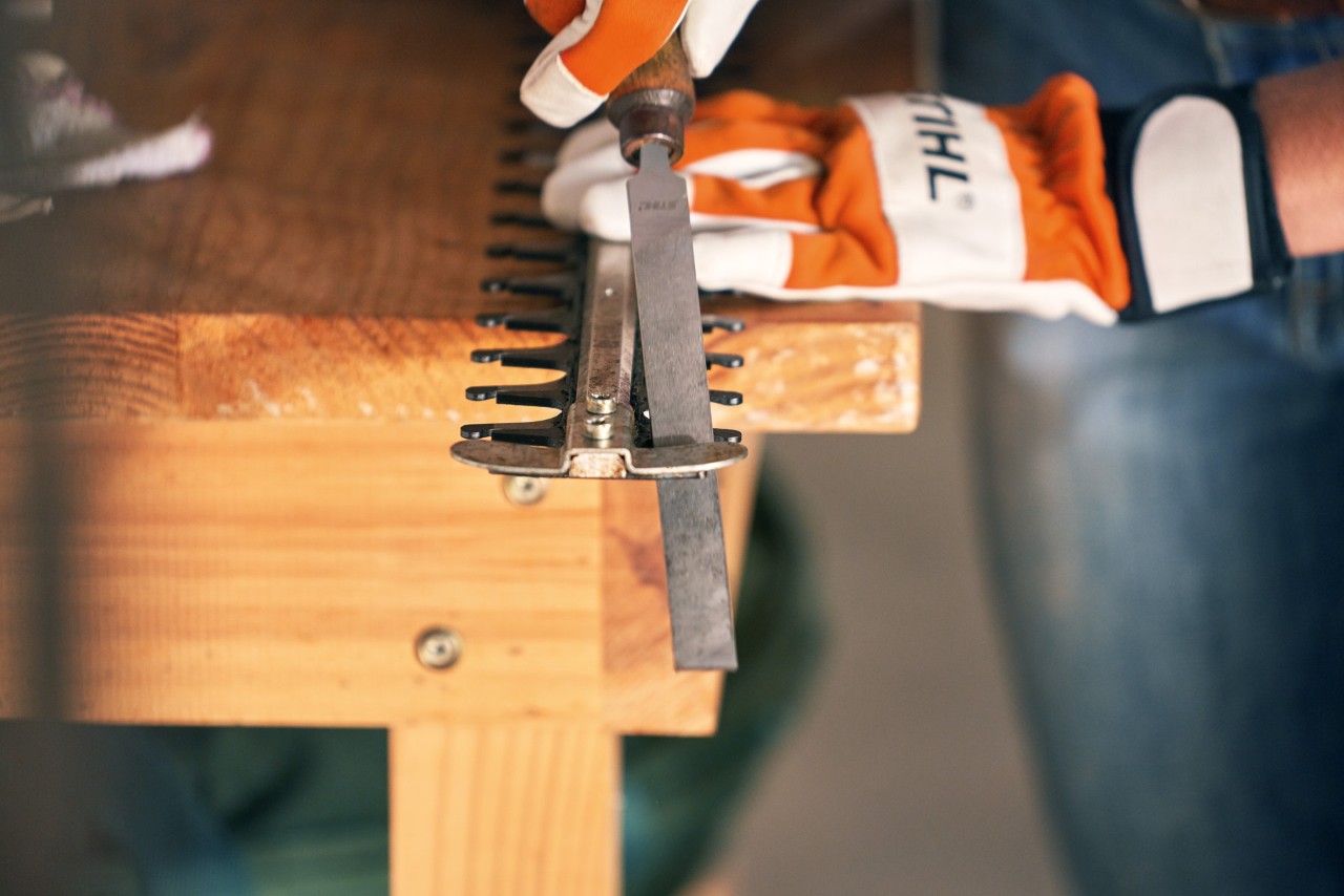 Affilatura del tosasiepi senza fili STIHL HSA 56 effettuata con l'uso di una lima piatta